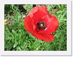 AHCE_Mens 2008_0070 * 2272 x 1704 * (1.49MB)